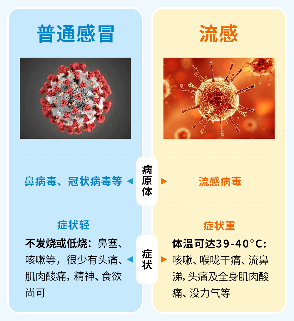 1739340743324181.png 11.png